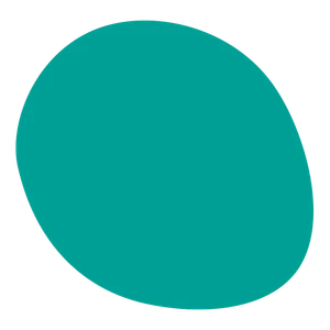 LP Company color styling element